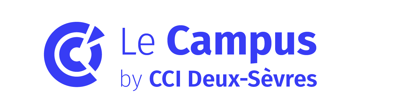 Logo CCI France