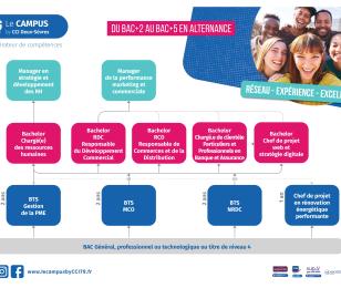 Schéma parcours formations vignette