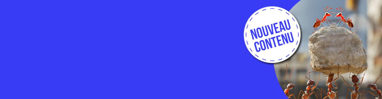 RSE- NOuveau contenu